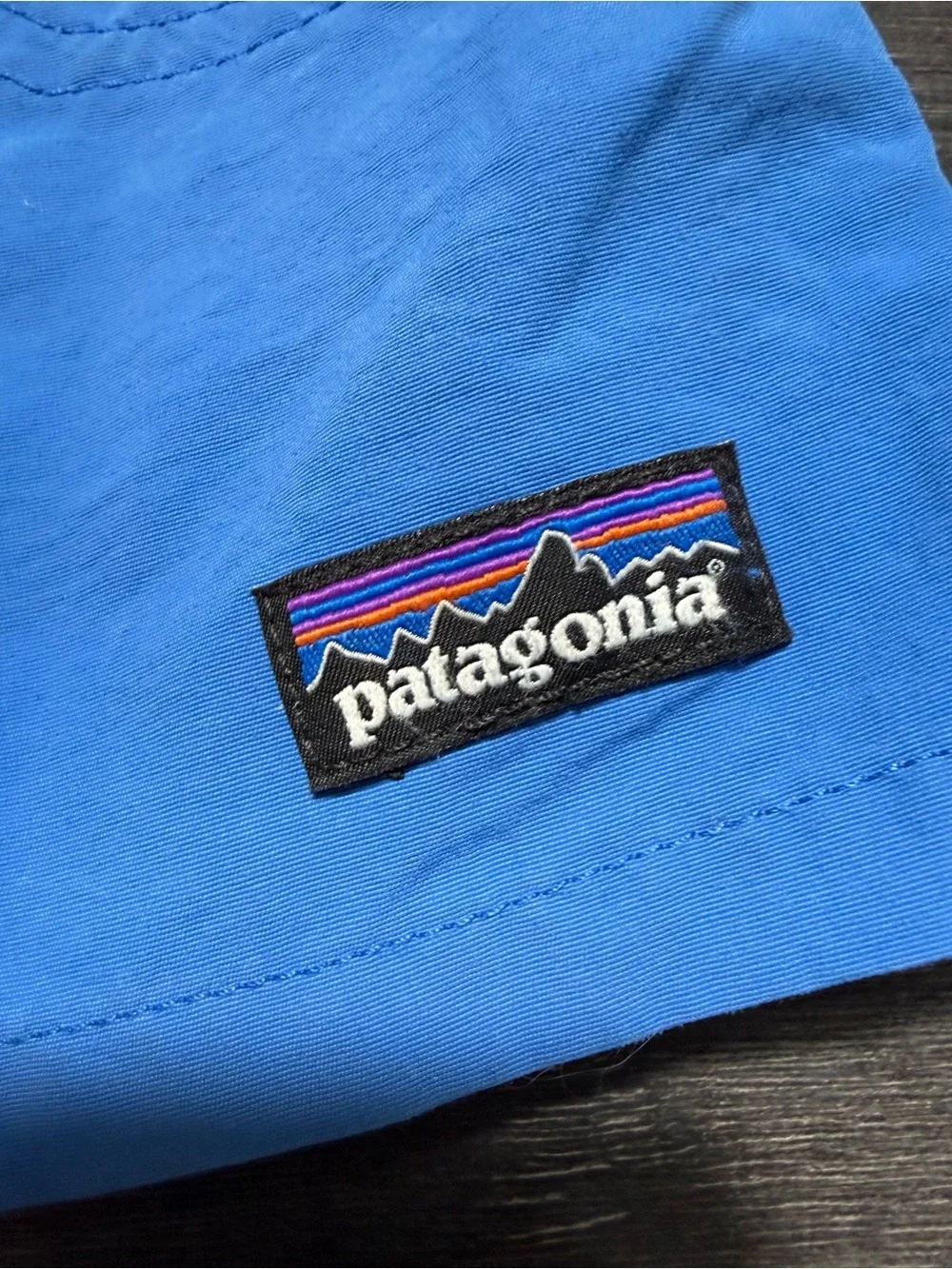 Patagonia Boys Blue Swim Trunks